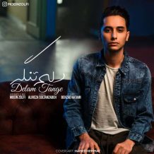 دانلود آهنگ جدید معین زلفی به نام دلم تنگه